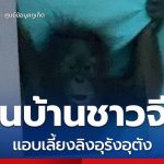 普吉警方突袭中国人豪宅!被人举报宅内饲养有“猩猩”!-百家乐规则表-百家乐技巧-百家乐策略论坛