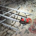 新加坡研发的机器人蟑螂首次被用于缅甸地震救援-百家乐规则表-百家乐技巧-百家乐策略论坛