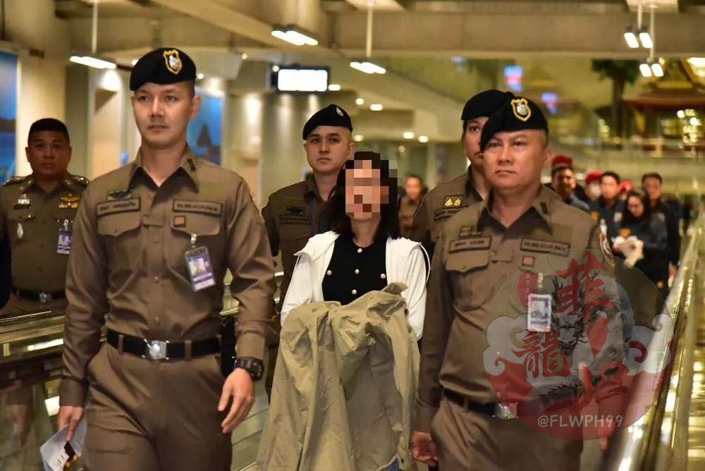 泰国从中国引渡“美女经纪人”，专骗投资人血汗钱-百家乐规则表-百家乐技巧-百家乐策略论坛