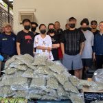 中泰黎团伙租豪宅贩卖大麻！警方动用10辆皮卡车才运完扣押赃物！-百家乐规则表-百家乐技巧-百家乐策略论坛