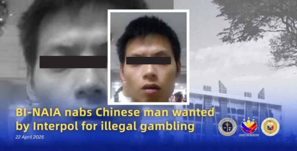 跨境网赌“大BOSS”王某落网！涉案七千八百万！-百家乐规则表-百家乐技巧-百家乐策略论坛