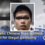 跨境网赌“大BOSS”王某落网！涉案七千八百万！-百家乐规则表-百家乐技巧-百家乐策略论坛