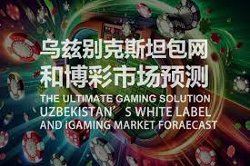篮球滚球玩法策略与时间节点分析：解析赢球之道-百家乐规则表-百家乐技巧-百家乐策略论坛