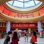 探秘“龙七投注手册 PDF 简版”:提升投注成功率的利器-百家乐规则表-百家乐技巧-百家乐策略论坛